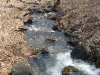 Саламандровый ручей вниз по течению